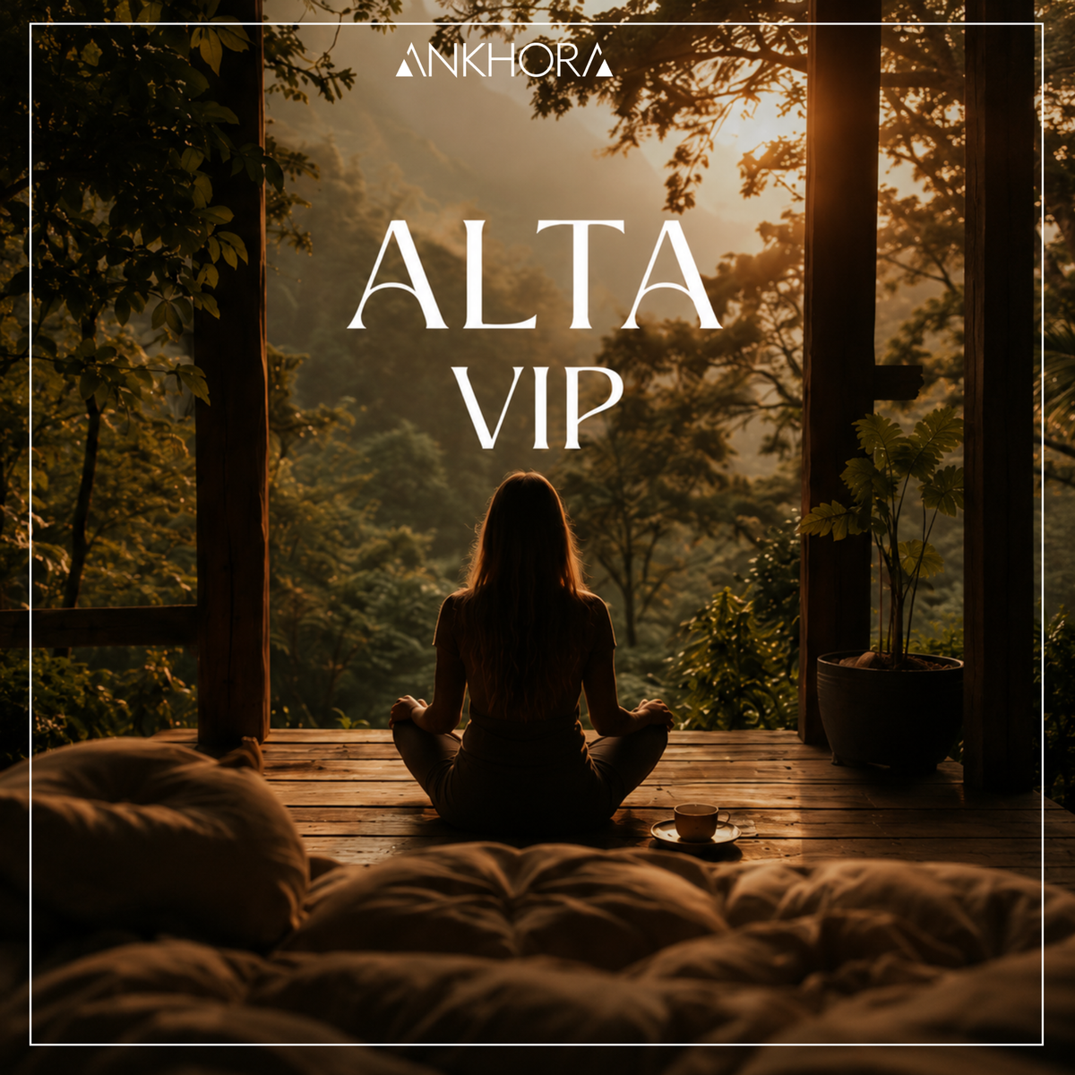 ALTA VIP